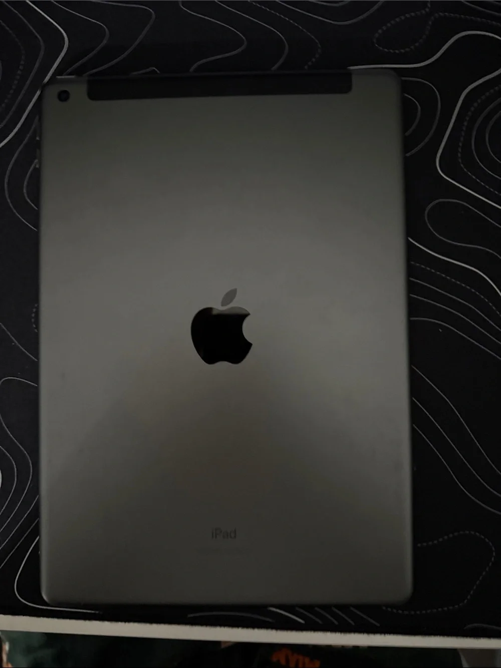 Apple iPad in Space Gray - Classic Aluminum Back